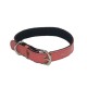 Rangers Dog Shining Collar 0.75 Inch